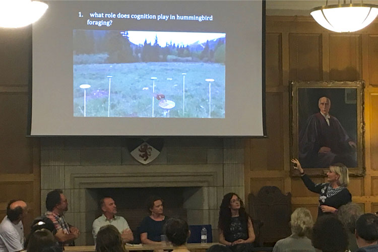 A presentation being given at Explorathon 2017