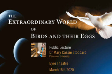 The Extraordinary World of Birds and Their Eggs. Public lecture by Dr Mary Cassie Stoddard from Princeton University. Byre Theatre March 16 2020