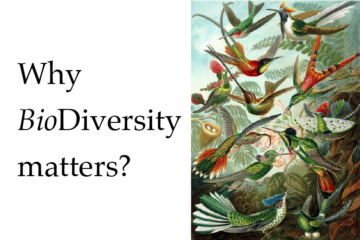 Why BioDiversity matters? poster
