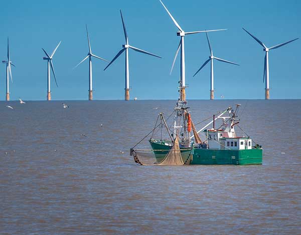 Marine mammal scientific support