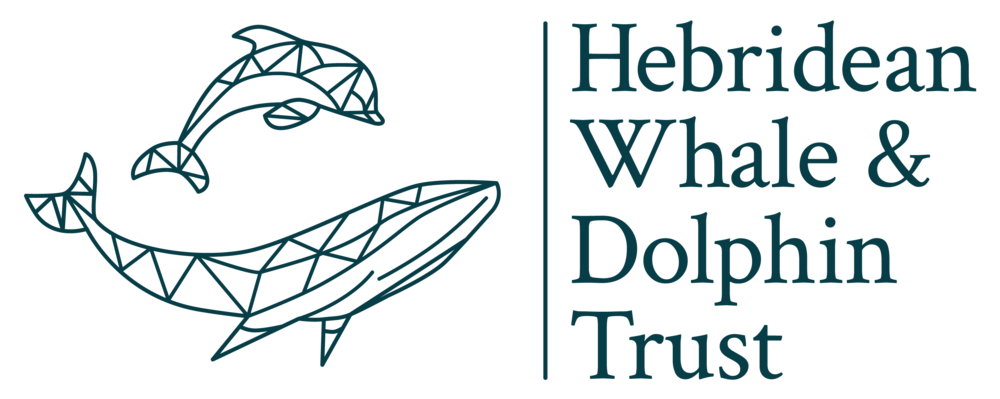 Hebridean Whale and Dolphin Trust logo