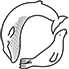 Sea Mammal Research Unit (SMRU)
