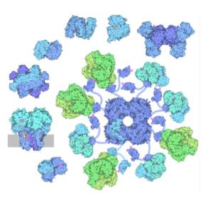 Alternative text for this image