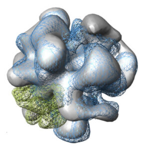 Alternative text for this image