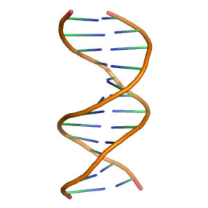 Alternative text for this image