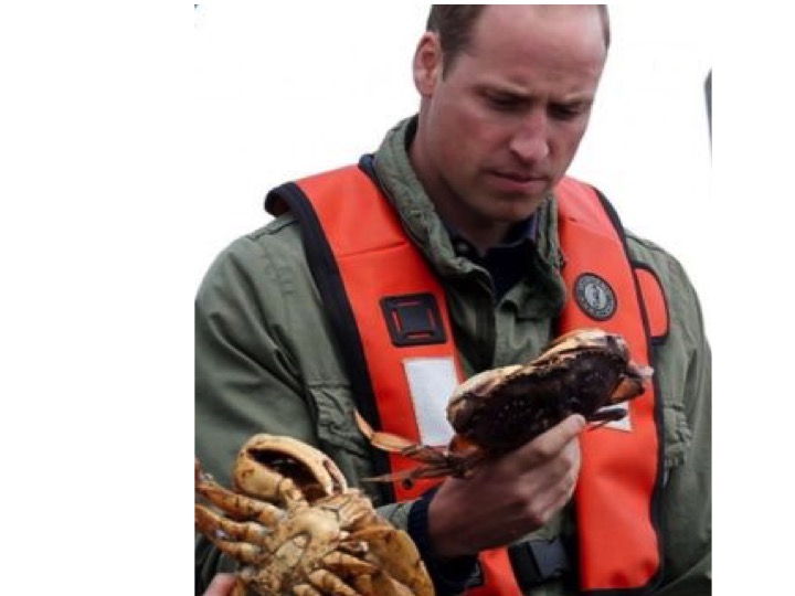 image: credit: Chris Wattie/Reuters