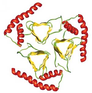 image: Image from: Govaerts et al. PNAS 101, 8342 (2004)
